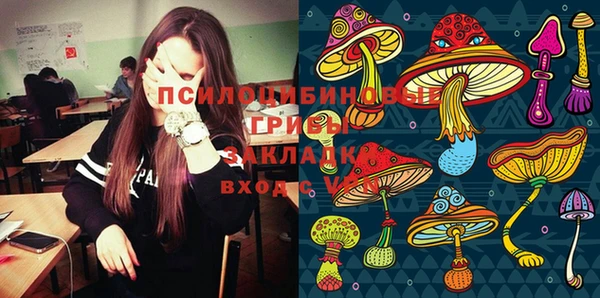тгк Богданович