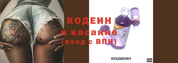 тгк Богданович