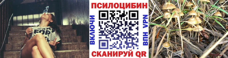 Псилоцибиновые грибы прущие грибы  Минеральные Воды 